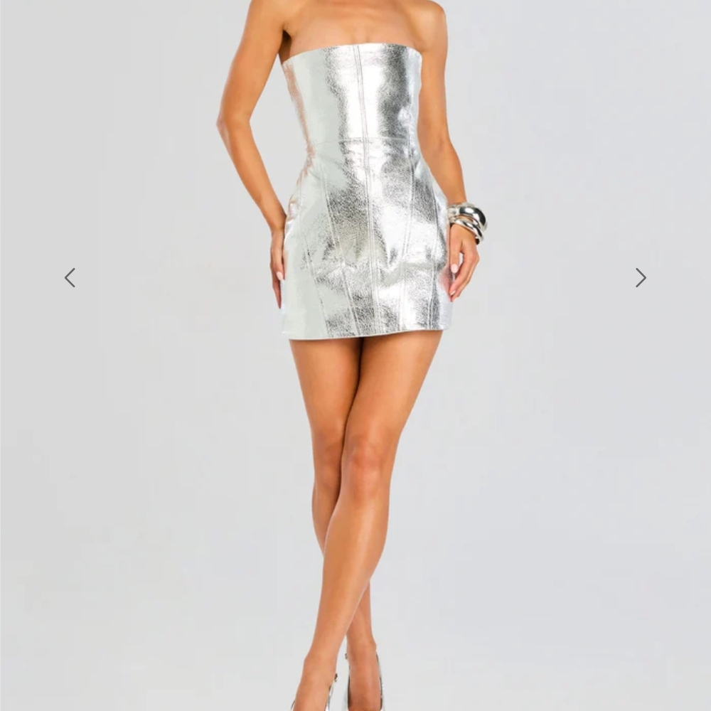 Retrofete Silver Strapless Bodycon Mini Dress